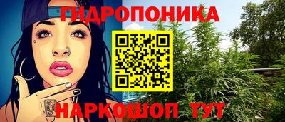 хмурый Анапа